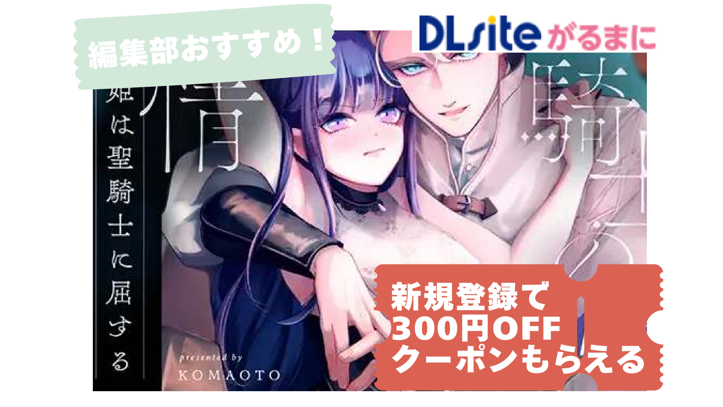 聖騎士の淫情